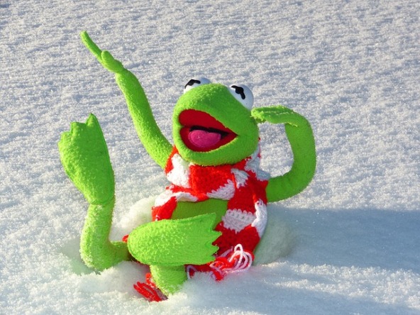 wesoły Kermit bawi się na śniegu